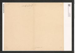 Nitzschia graeffei Grun. (de-Toni-Nr.: Genus 47, Species 2028) Zeichnungen Sammlung Grunow (NHMW-BOT-W0371807)